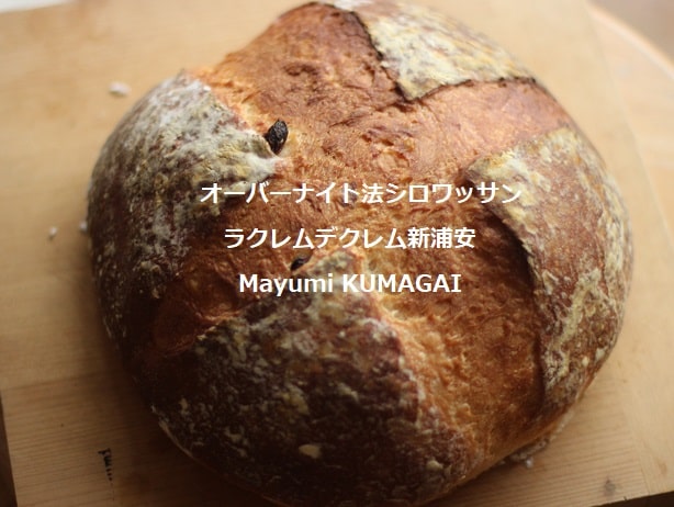 低温長時間熟成の製パン法でつくったカメリア粉のフランスパン、ブール