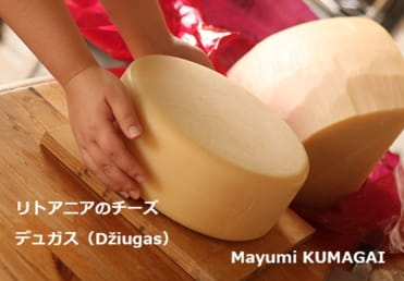 フルム・ダンベールFourme d'Ambertとブルー・ドーヴェルニュBleu d'Auvergneの試食会