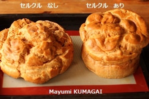 超巨大！！直径20㎝の絶品シュークリーム