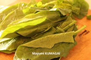 どこか懐かしい！フランスのお菓子の本でよくみかけた、オレンジのムース。